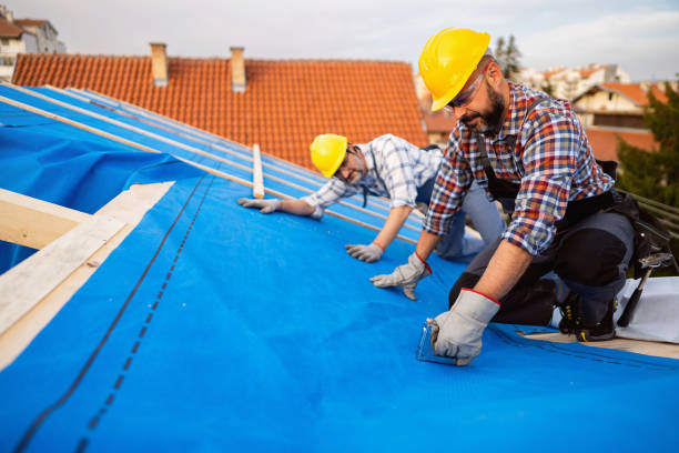 Best Roof Gutter Cleaning  in Sharpes, FL